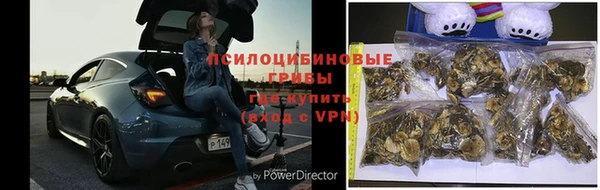 мяу мяу мука Балабаново