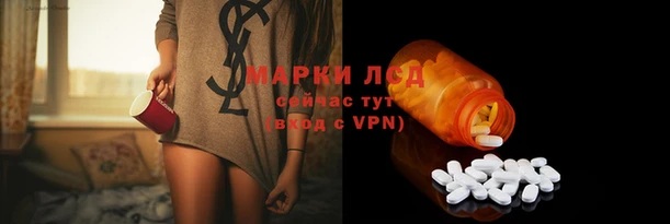 PSILOCYBIN Баксан